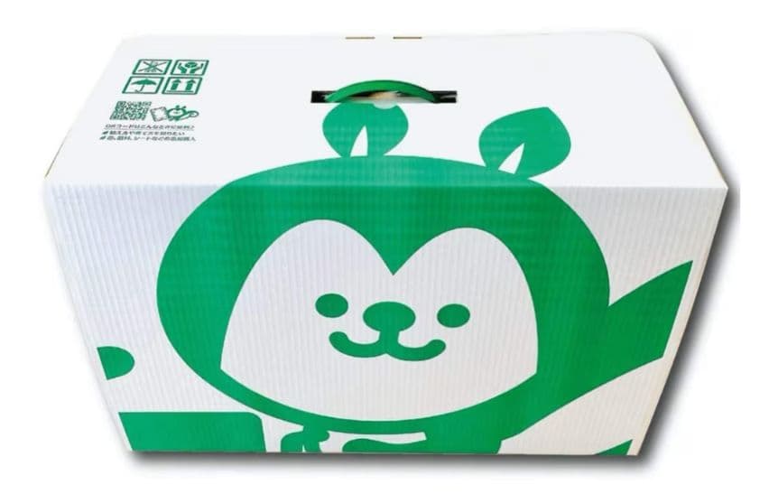 ミドリス　すくすくシートセット