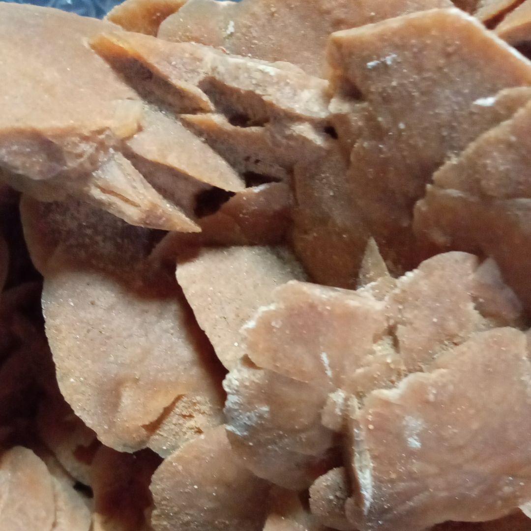 サハラのバラ　サハラ砂漠　化石