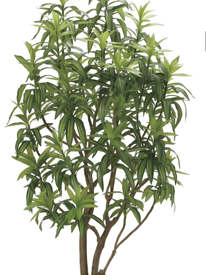 光触媒　人工観葉植物　フェイクグリーン　フレッシュドラセナW1.8m