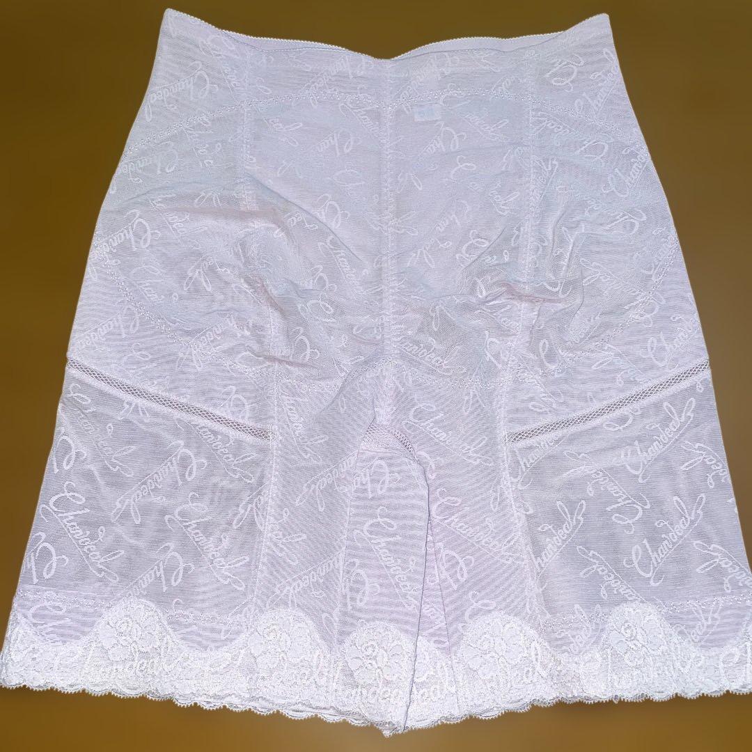 シャンデール　ロングガードル　82 補正下着