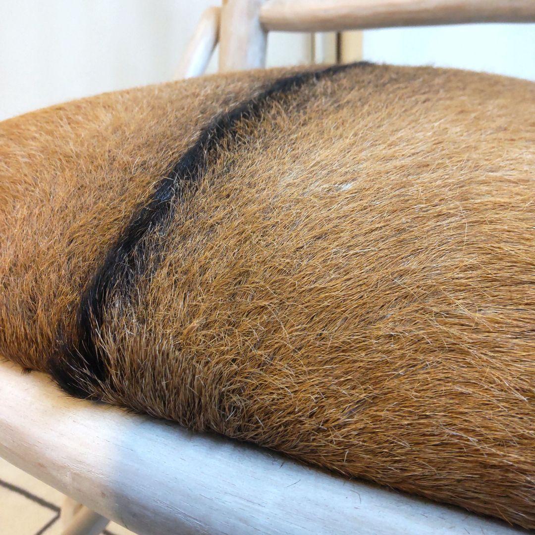 (美品)ハラコ チェア 毛皮 椅子 スツール 天然木 本革