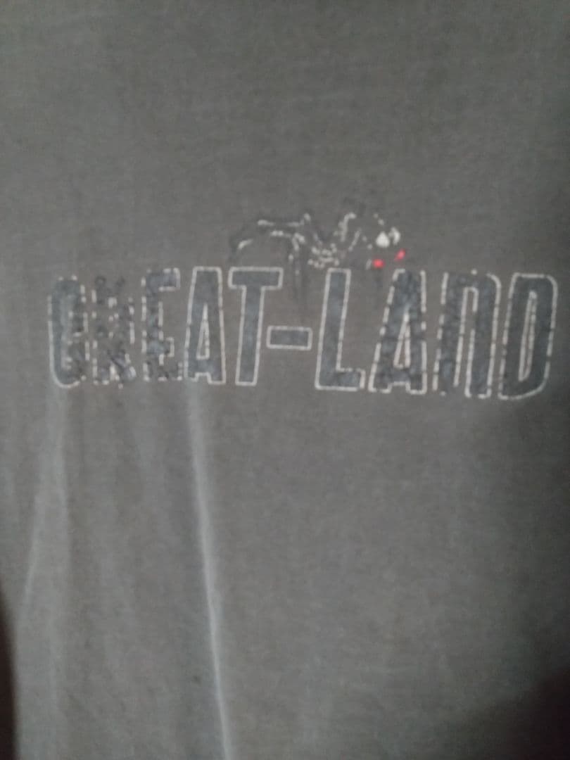 プ*ニ様 greatLAnd original spider 10YEARS X