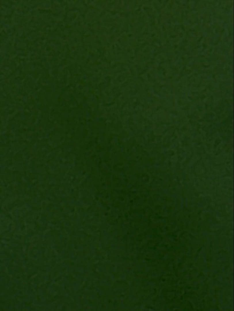 ジャケット・アウター apple apple