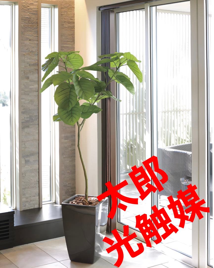 光触媒　人工観葉植物　フェイクグリーン　フレッシュアーバンウンベラータ1.8