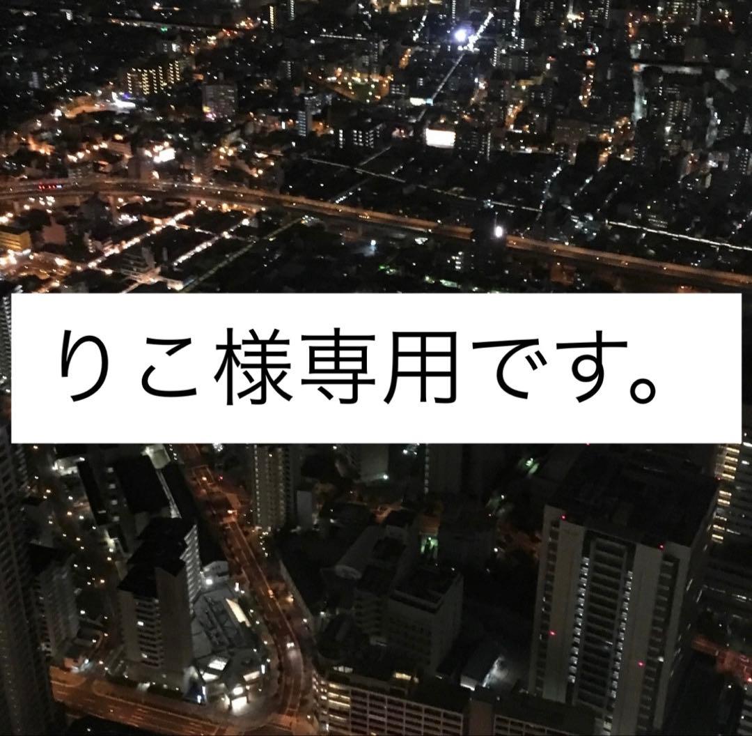 専用です。　ロンt