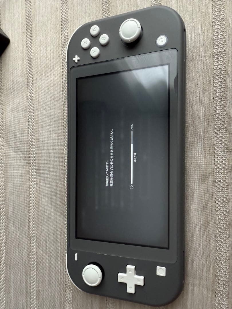Nintendo Switch Lite グレー 本体　美品　　おまけつき