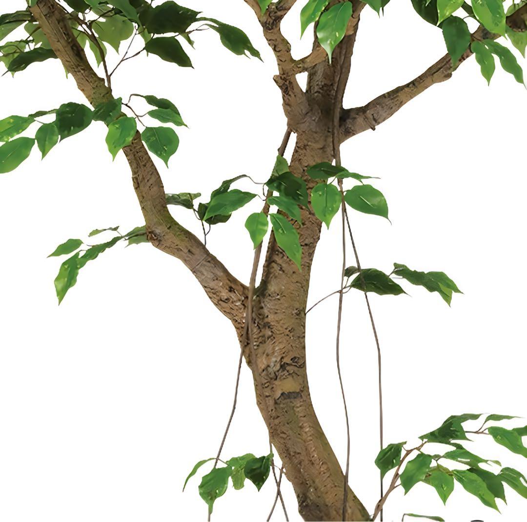 光触媒　人工観葉植物　フェイクグリーン　ベンジャミナスプラッシュコアッド