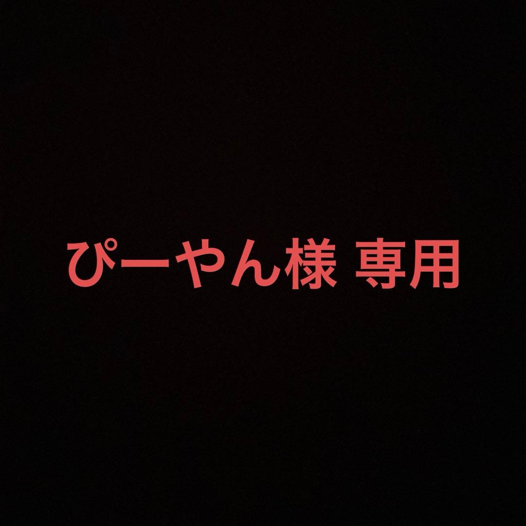 【ぴーやん様】 専用