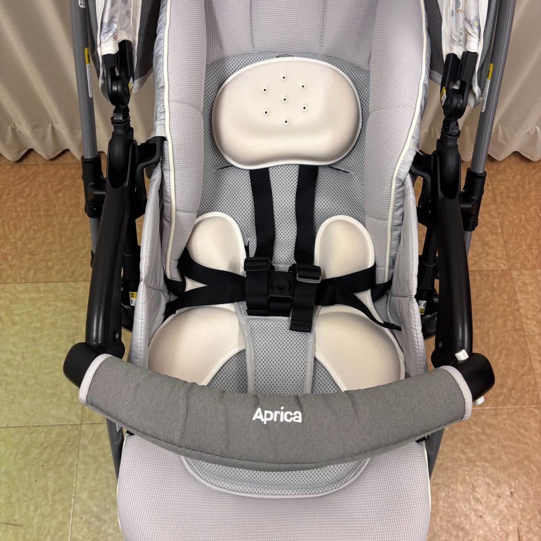 ◆　マリです。　◆