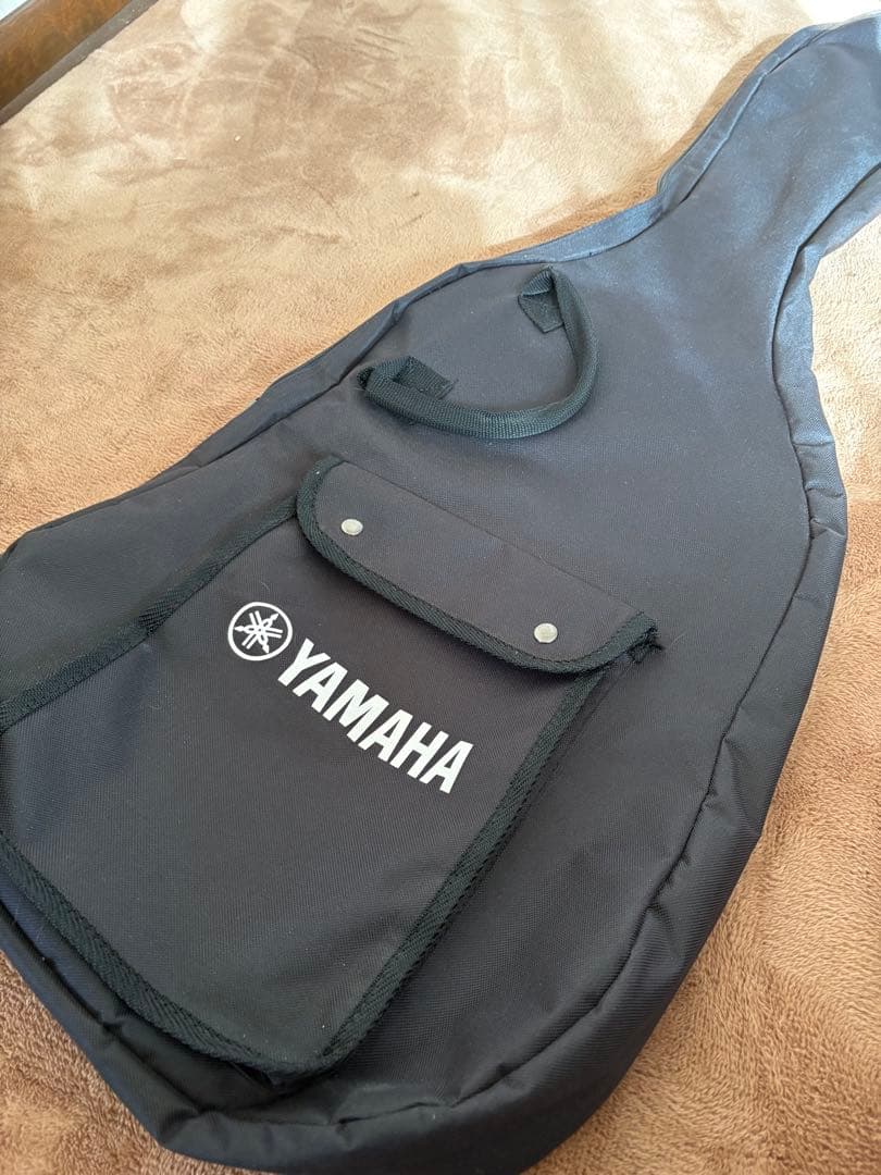 ひさゞ ヤマハエレキギター　YAMAHA RGX221DH（DIY品）