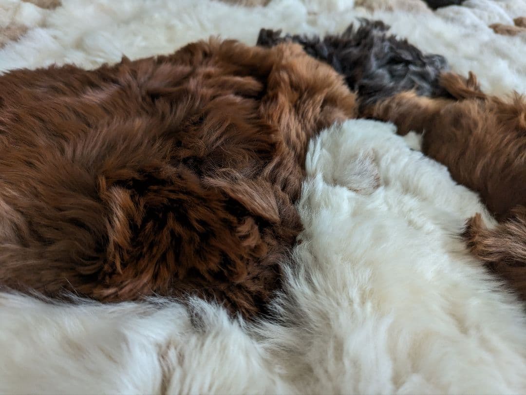 ★もじゃ様用★　ペルー　アルパカ　絨毯　ラグ　敷物　秋冬