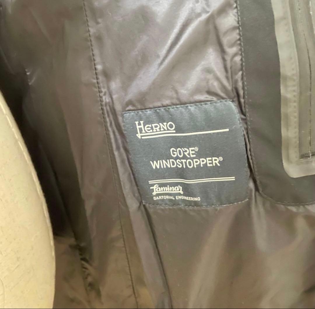 HERNO ラミナーダウンコート 42ゴアウィンドストッパー