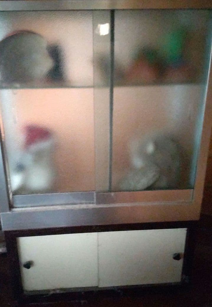 昭和レトロ　ショーケース