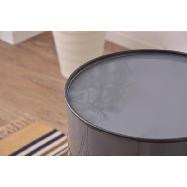 sale！お手入れ簡単 移動かんたん 30リットル 防臭 おしゃれ ゴミ箱 銀