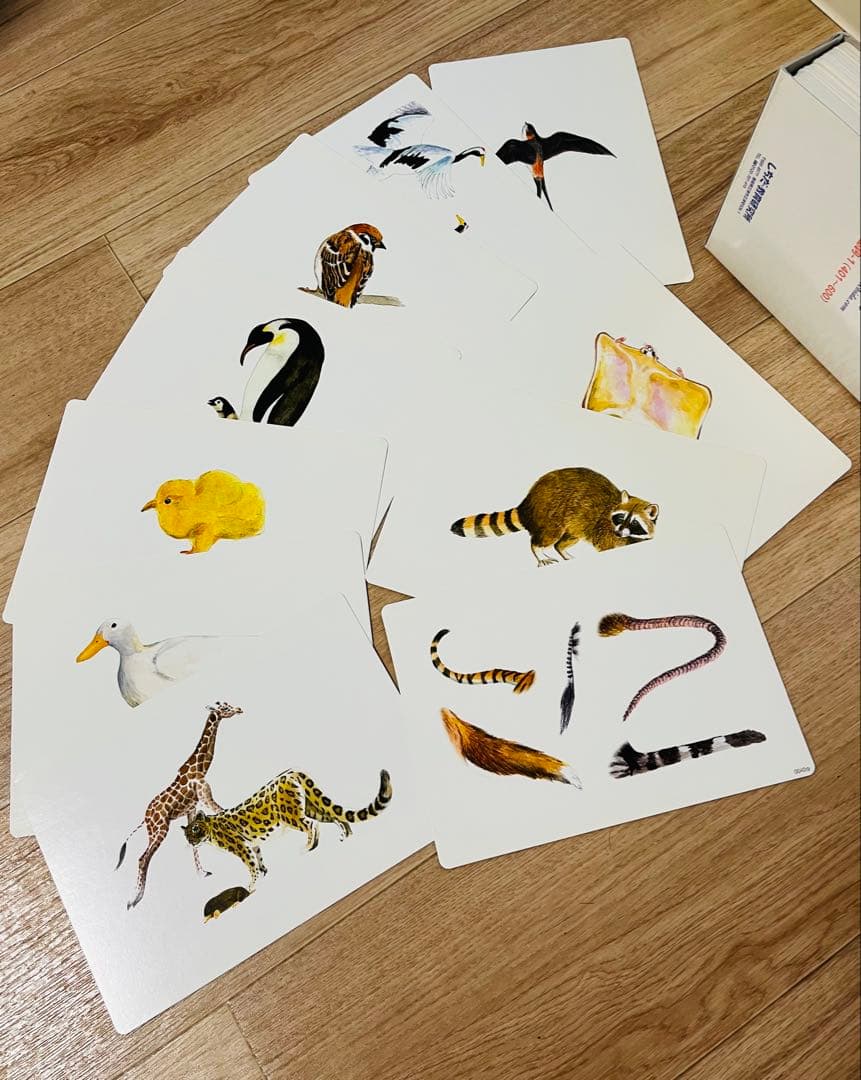 3時間限定値下げ【フラッシュカード かな絵ちゃん】 A/B/Cセット 七田式