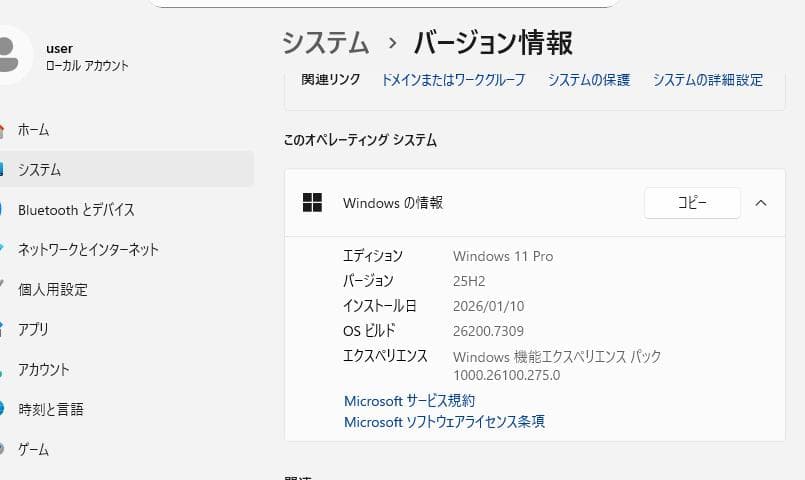 ThinkPad X230 i5 メモリ10Ｇ SSD 120GB×2