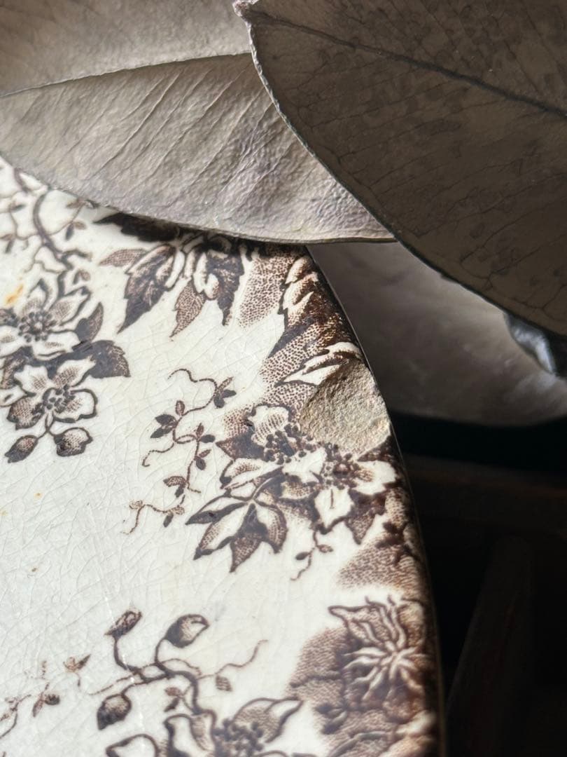 ⚫︎フランスアンティーク⚫︎ 大皿サルグミンヌ U&C Sarreguemines