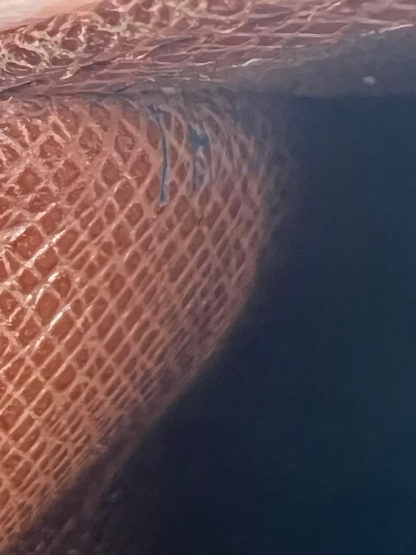 【美品】ルイ ヴィトン モノグラム ポルトモネ ビエ カルト クレディ