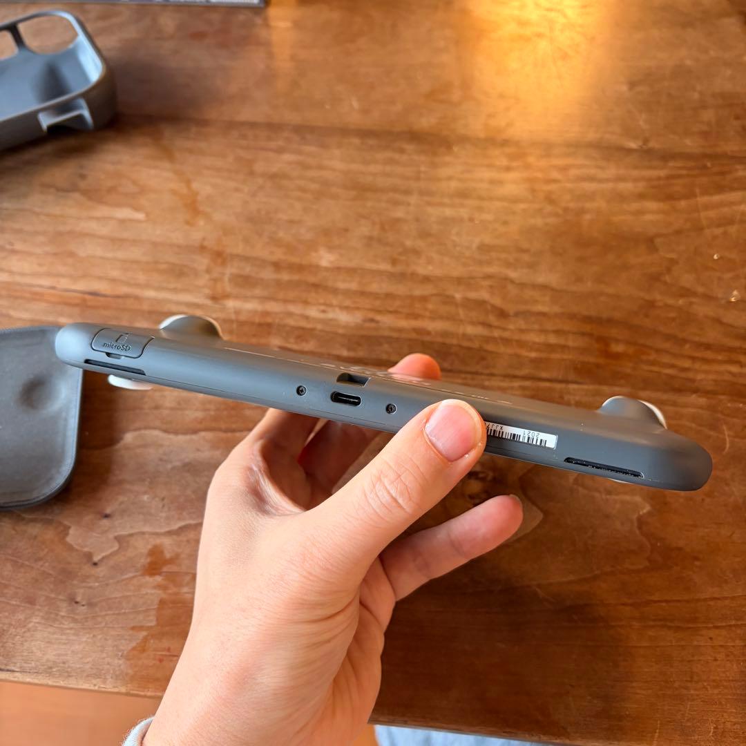 Nintendo Switch Lite 本体+社外品ケース