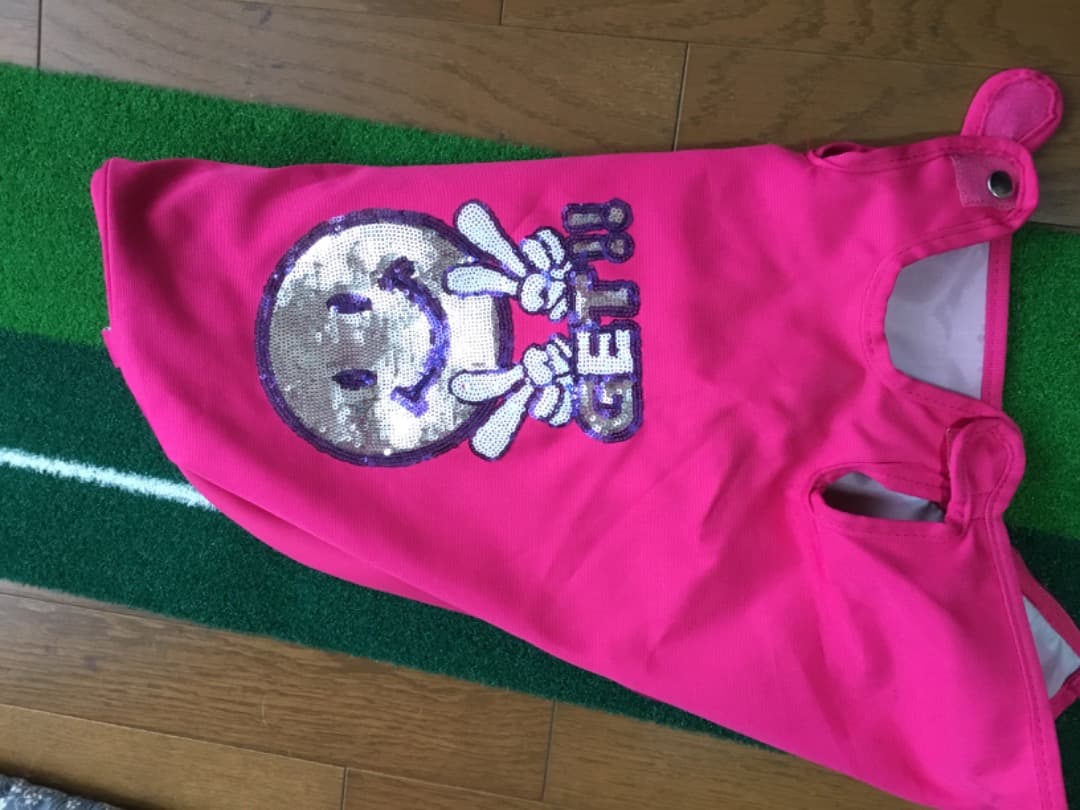 美品　キャディーバッグ