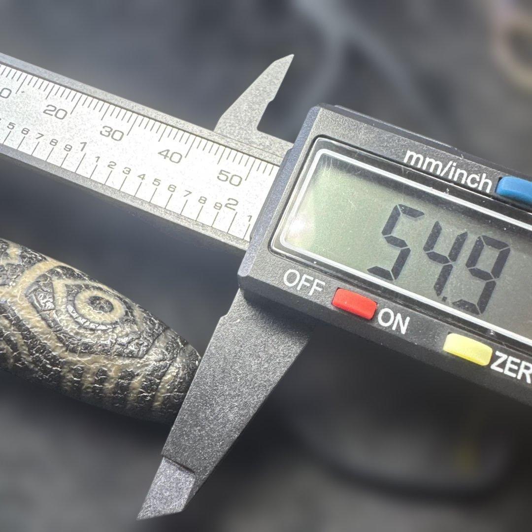 【天珠の王】龍眼天珠　チョーカー