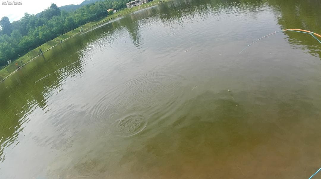 バンブーフライロッド ５フィート４インチ　＃２／＃３　Custom