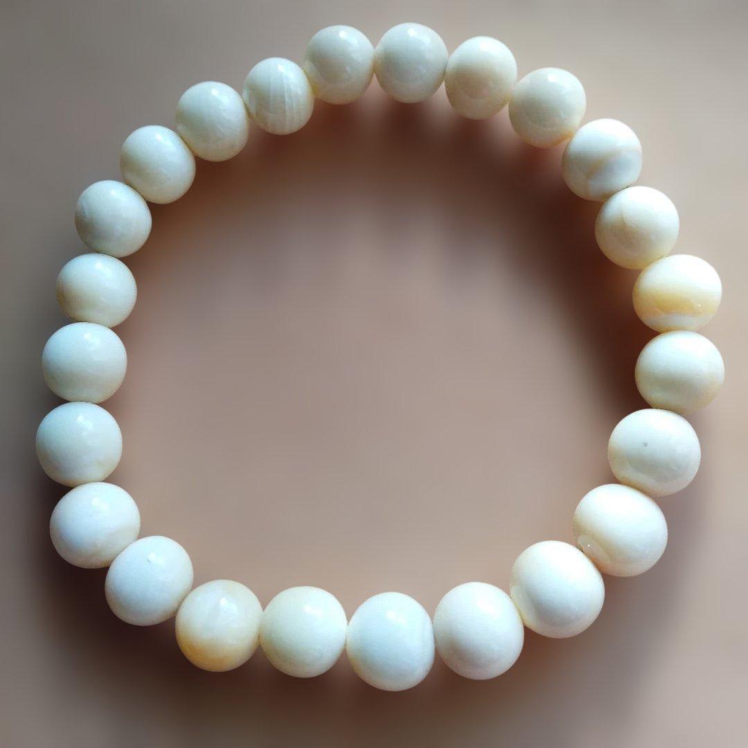 鯨歯　マッコウ鯨　牙玉ブレスレット　19㎝