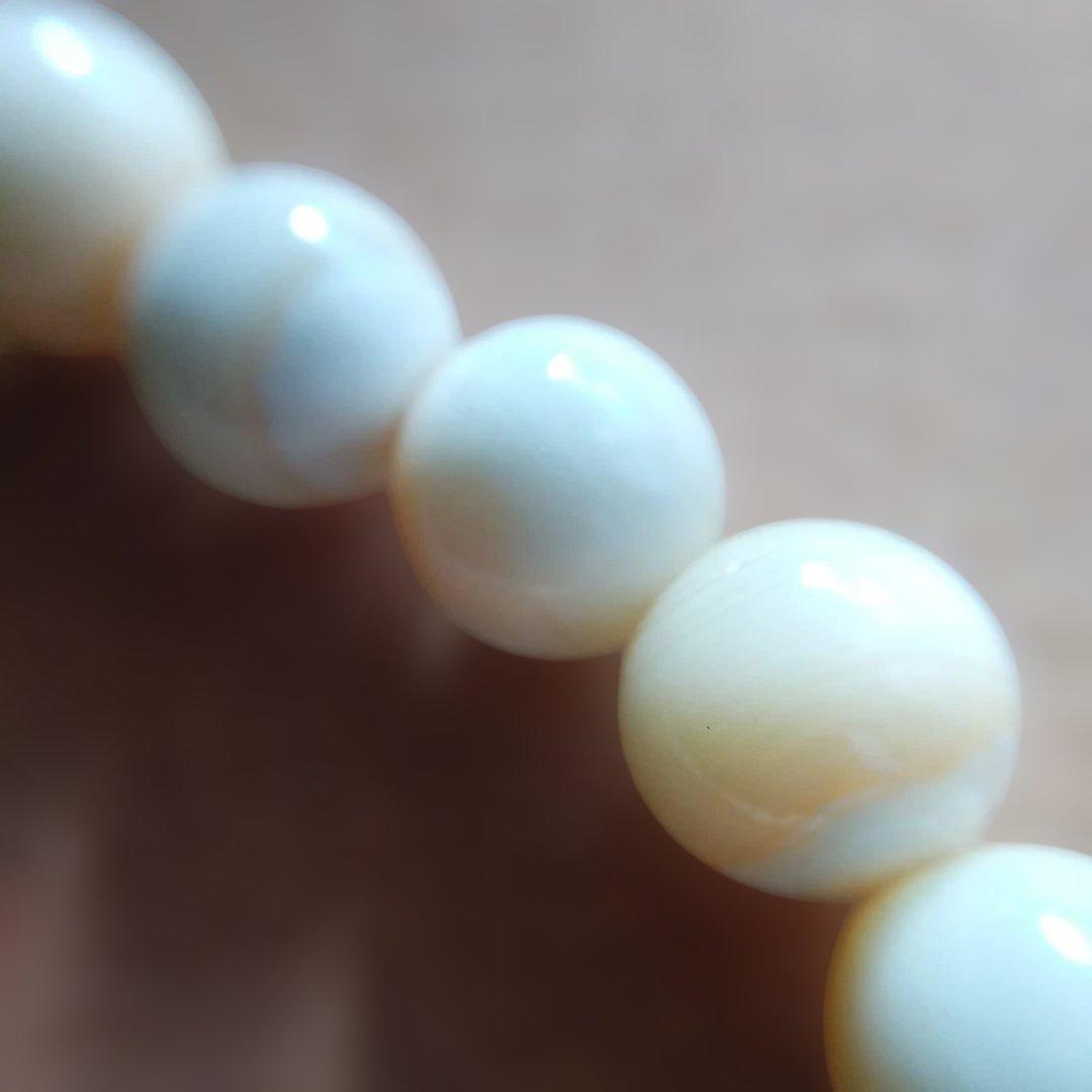 鯨歯　マッコウ鯨　牙玉ブレスレット　19㎝