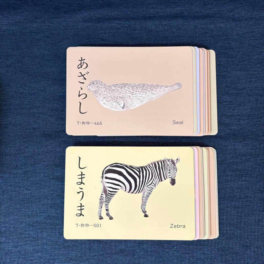 家庭保育園 たのしい絵カード1500 ABCセット CD付き フラッシュカード