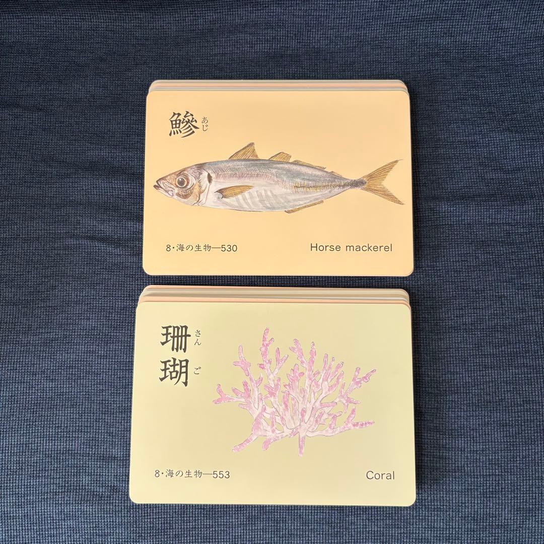 家庭保育園 たのしい絵カード1500 ABCセット CD付き フラッシュカード