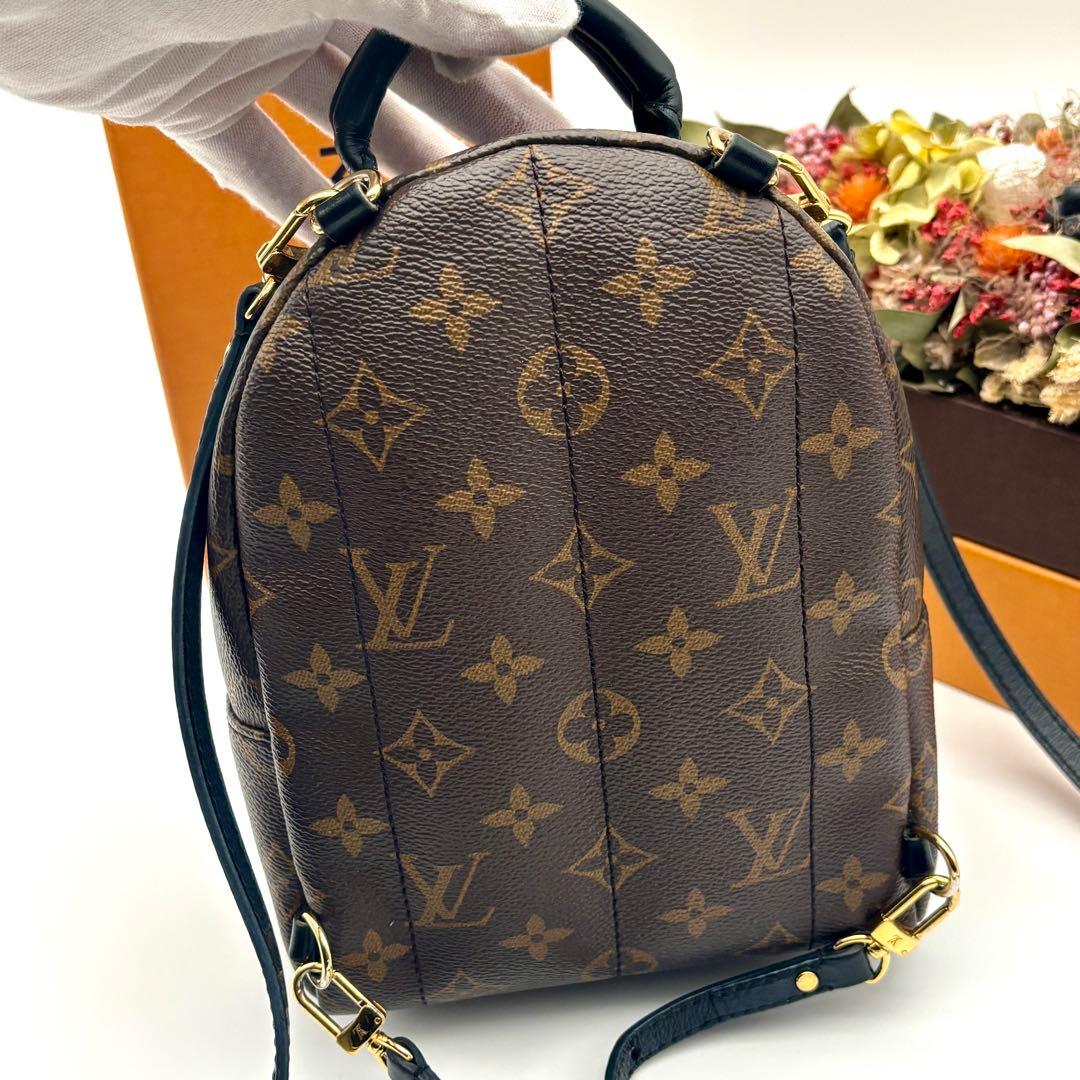 ルイヴィトン パームスプリングス ミニ バックパック リュック M41562