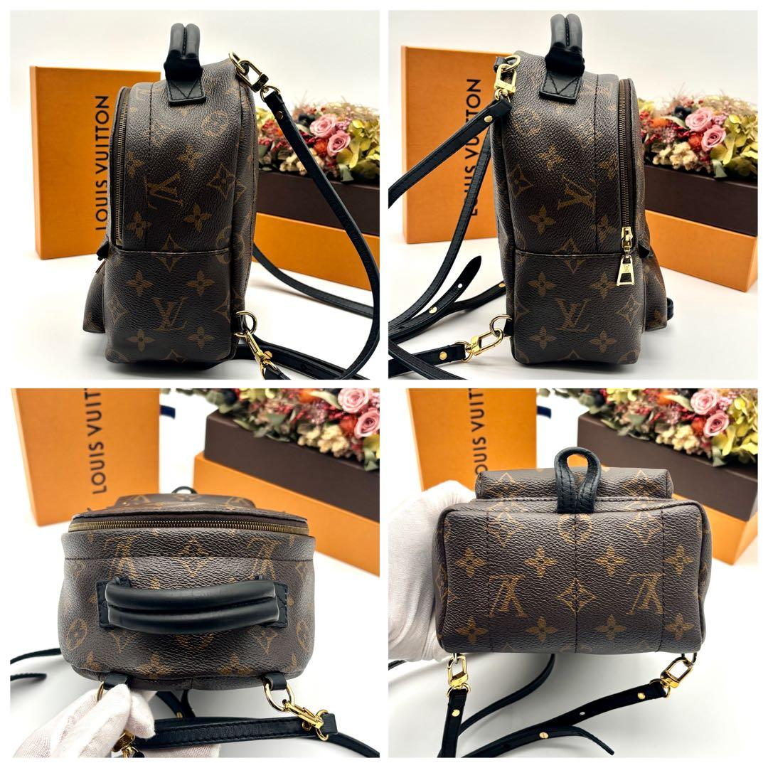 ルイヴィトン パームスプリングス ミニ バックパック リュック M41562