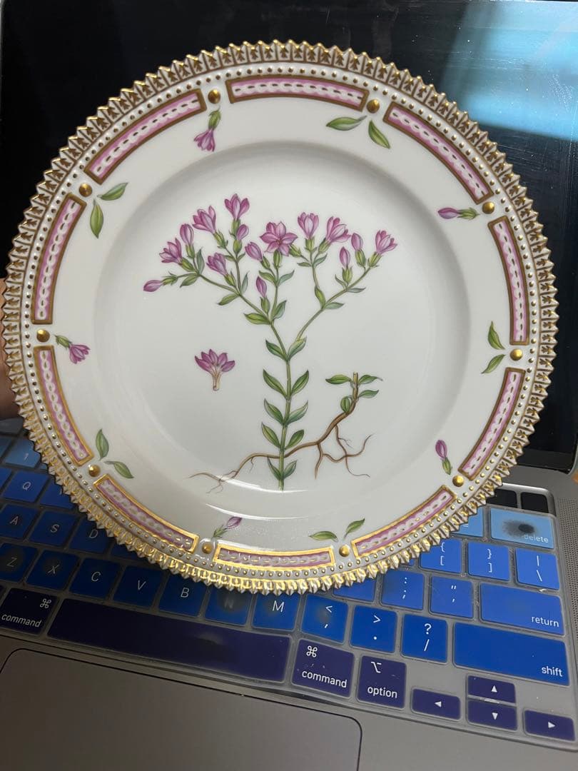 「コペンハーゲン」フローラダニカ食器セット