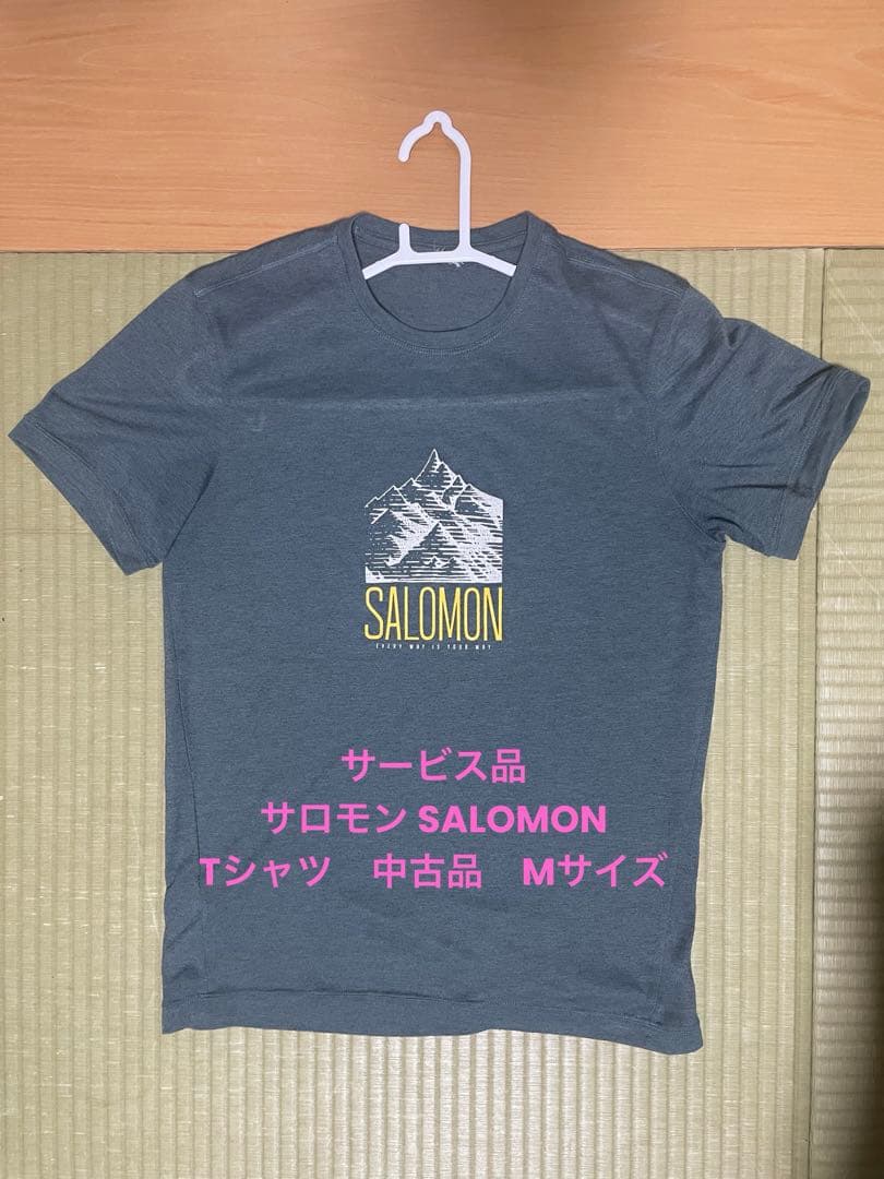 サロモン SALOMON X PRO100 スキーブーツ 25/25.5特典付き