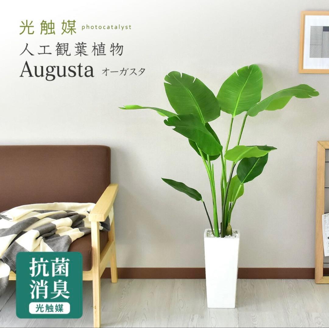 人工観葉植物 Augusta オーガスタ
