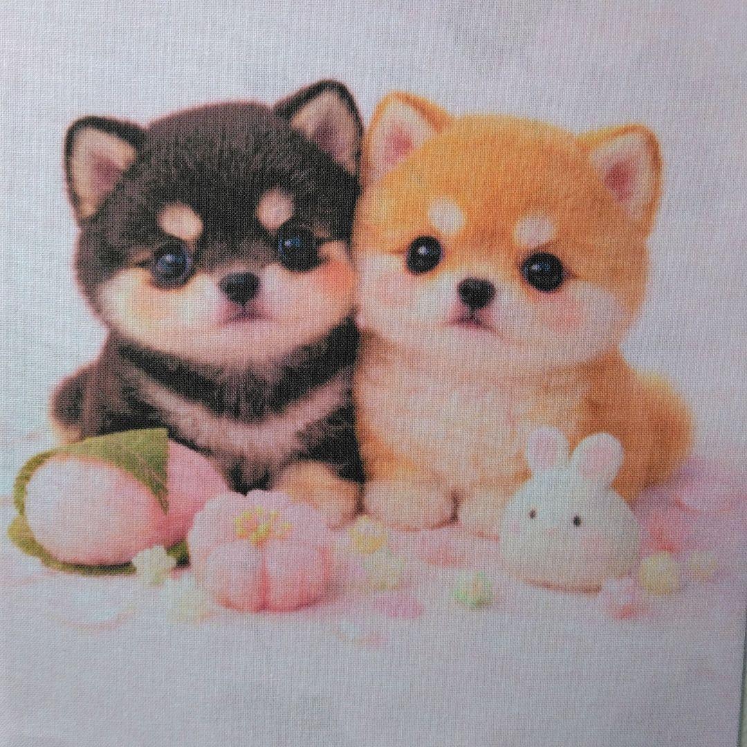 ☆受付☆柴犬 No.A