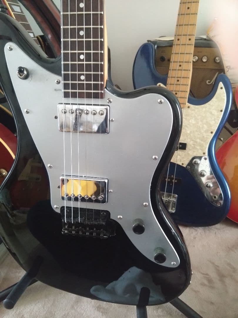 フェルナンデス JG-45　ソフトケースのオマケ付