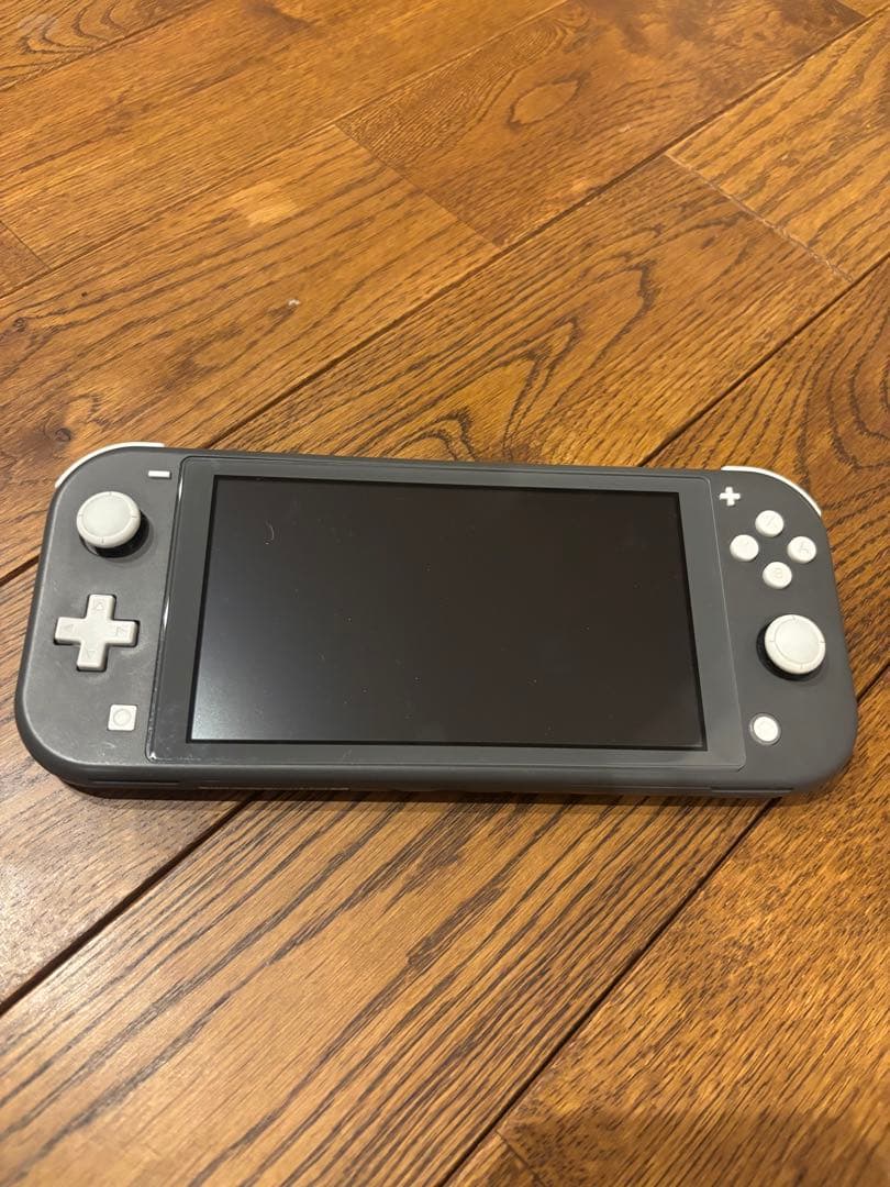 Switch right スイッチライト　グレー　ほんたい