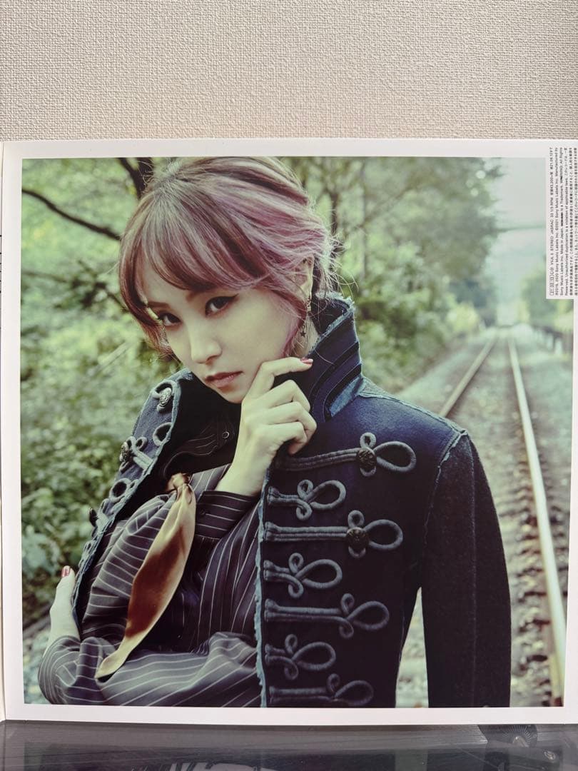 LiSA 紅蓮華・炎 レコード