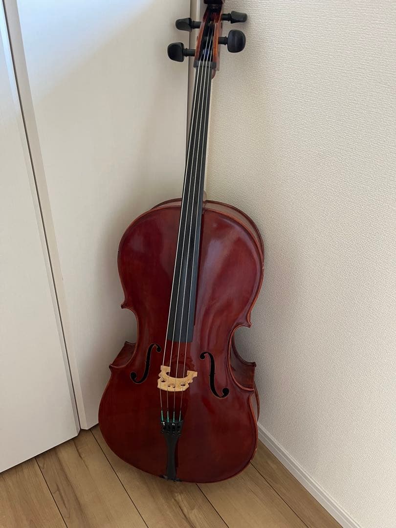 ニコラス　イーストマン　チェロ　2分の1 弓セット