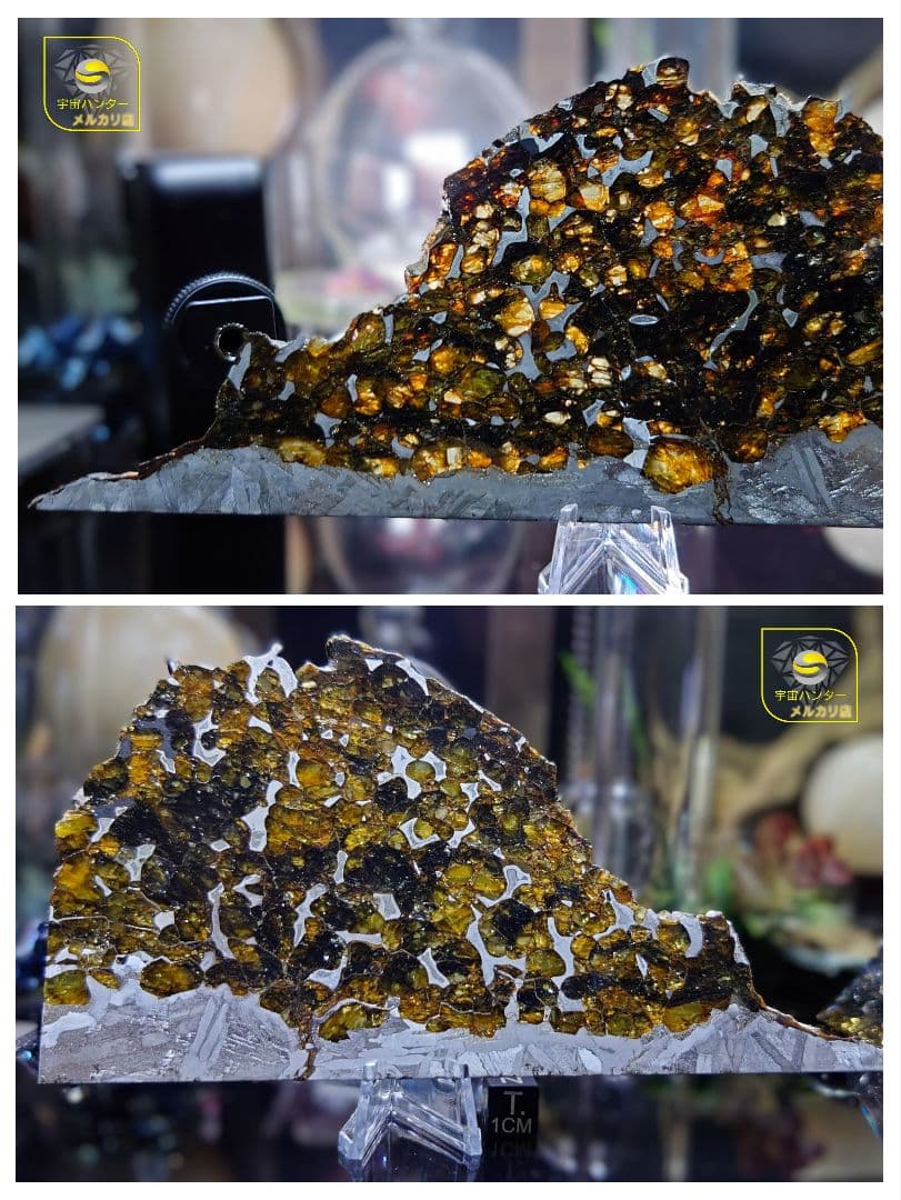 隕石 セイムチャン パラサイト 117.3g ⭐