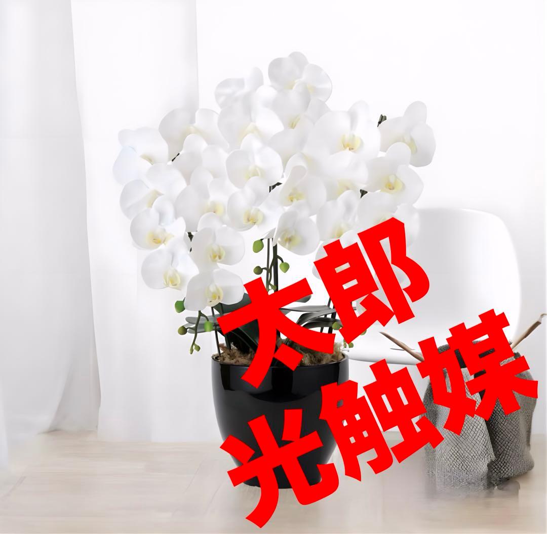 光触媒　人工観葉植物　フェイクグリーン　フレッシュ胡蝶蘭 3本立W
