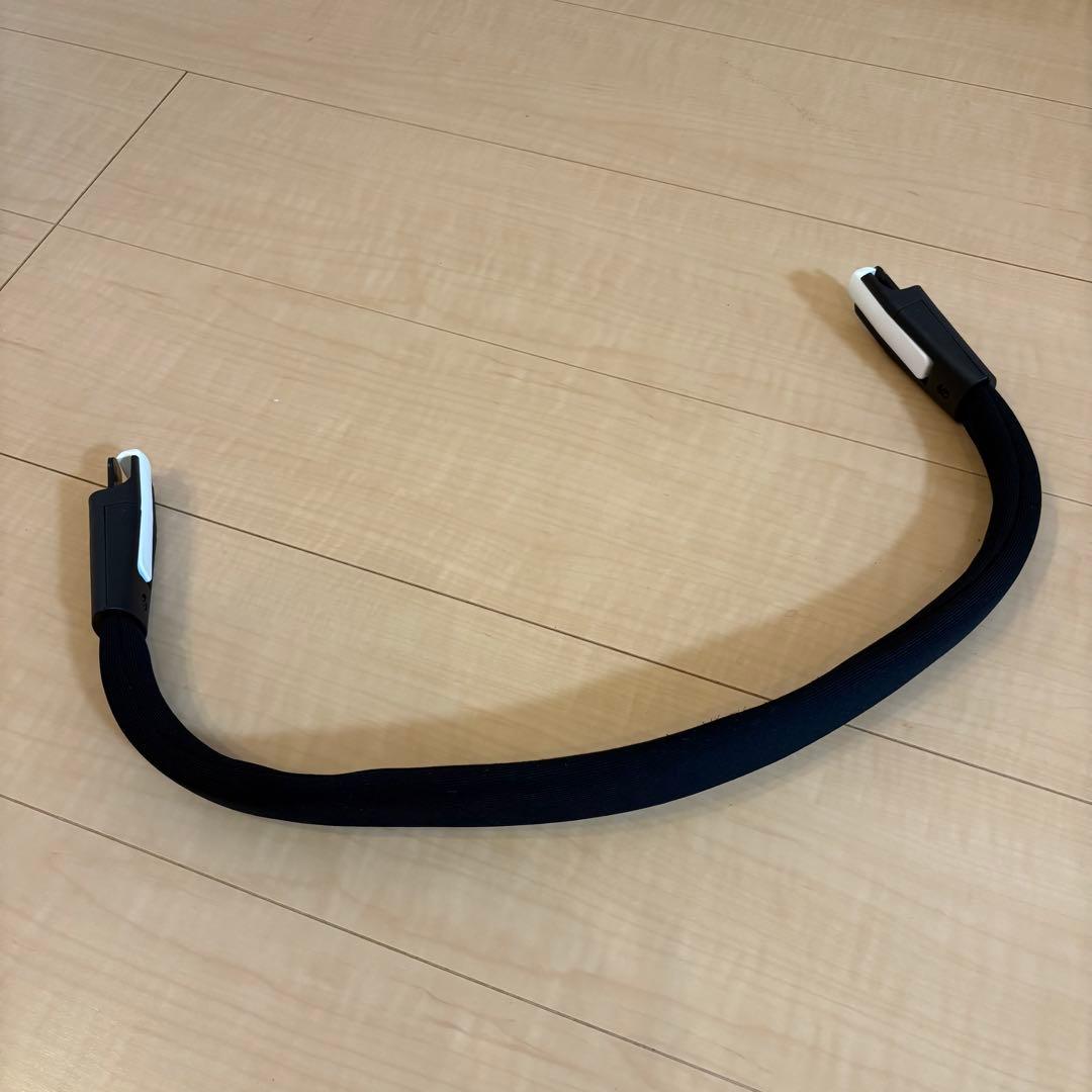 【早い者勝ち】Cybex オルフェオ ブラック付属品多数