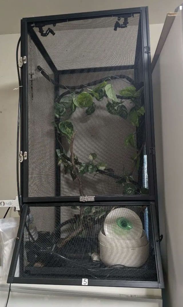 GEX カメレオン飼育１１点セット　エキゾテラスクリーンテラリウム４５９０