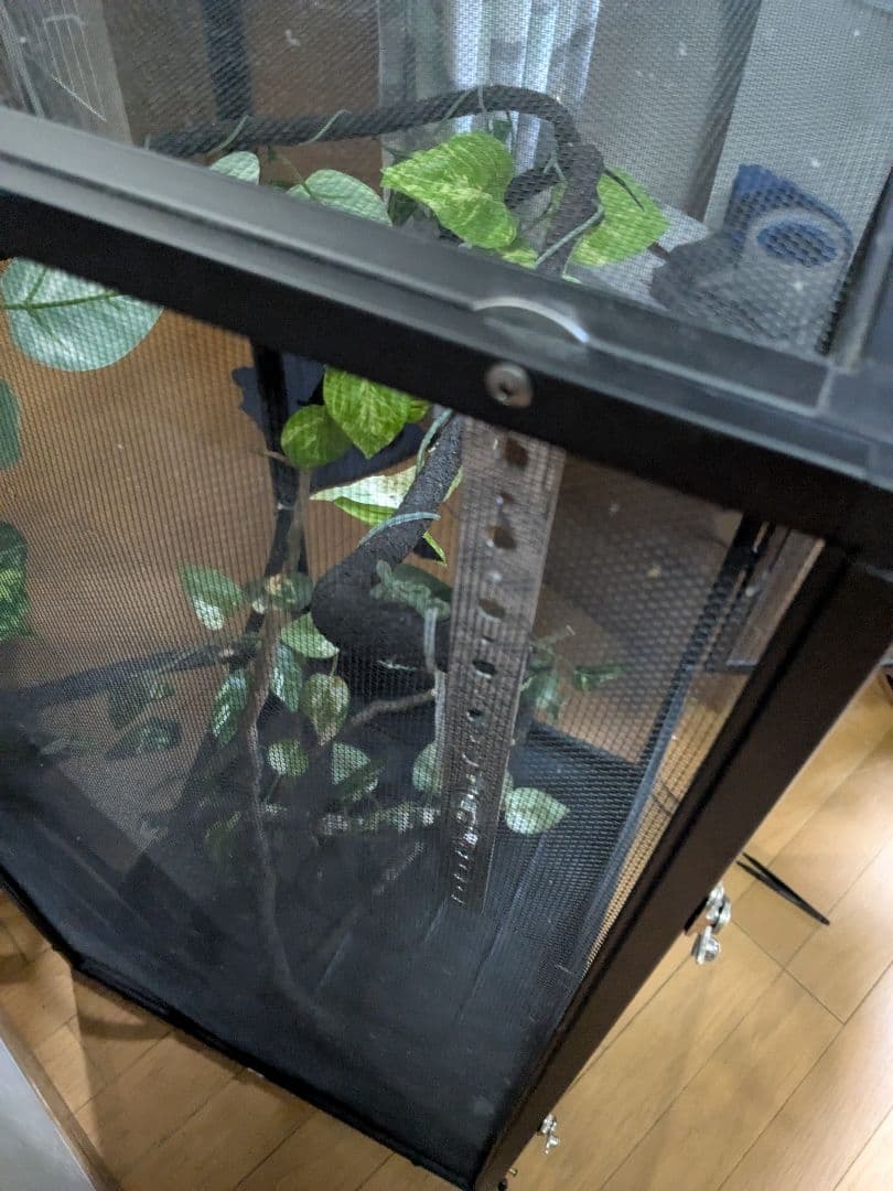 GEX カメレオン飼育１１点セット　エキゾテラスクリーンテラリウム４５９０