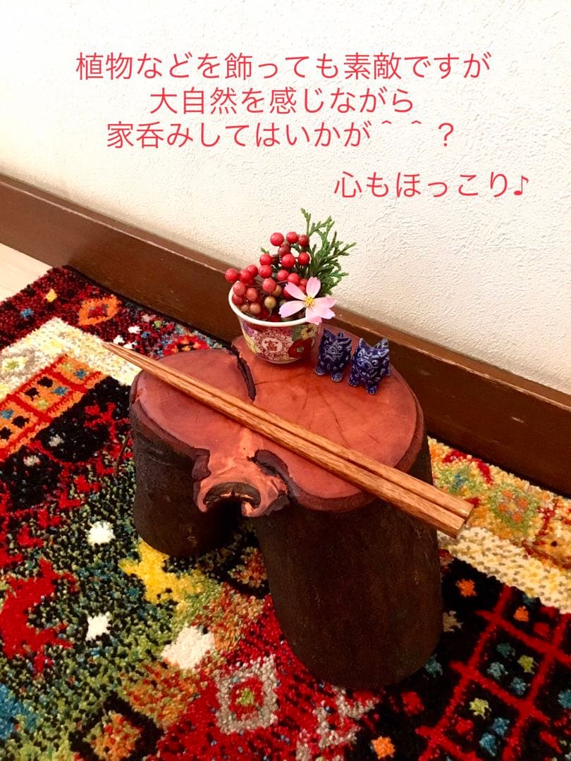 希少縁起木！天然木斛【年輪2つ！森と大自然の切り株飾り台】インテリア台＊植物台