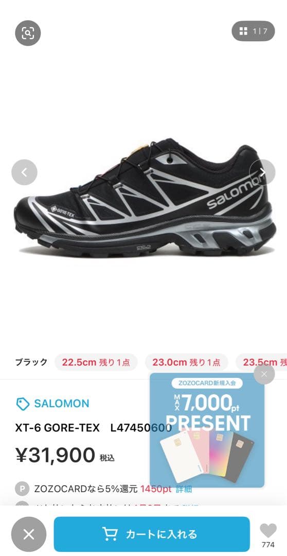 ぱ*様 Salomon XT-6 GORE-TEX