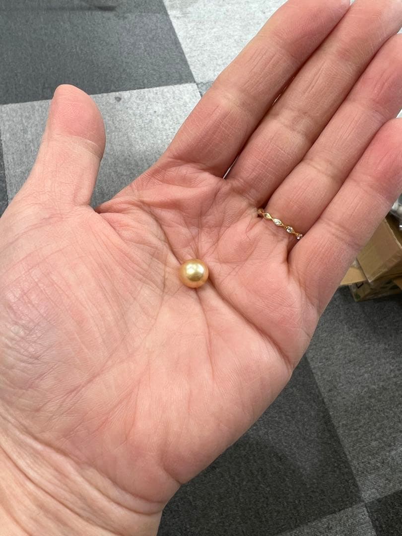 アクセサリー lion0208-27000