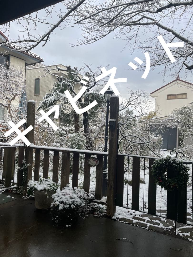 クラシック木製キャビネット