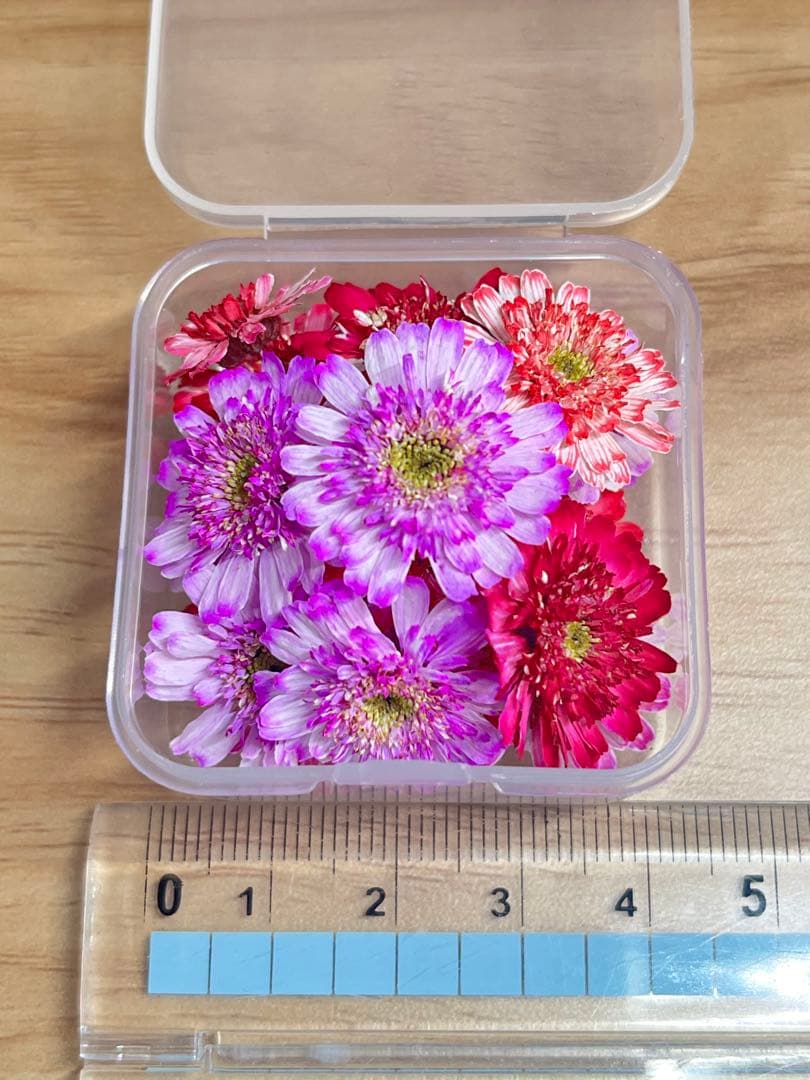 ハンドメイド　花材　ドライフラワー　マトリカリア　暖色系　20輪+α ②